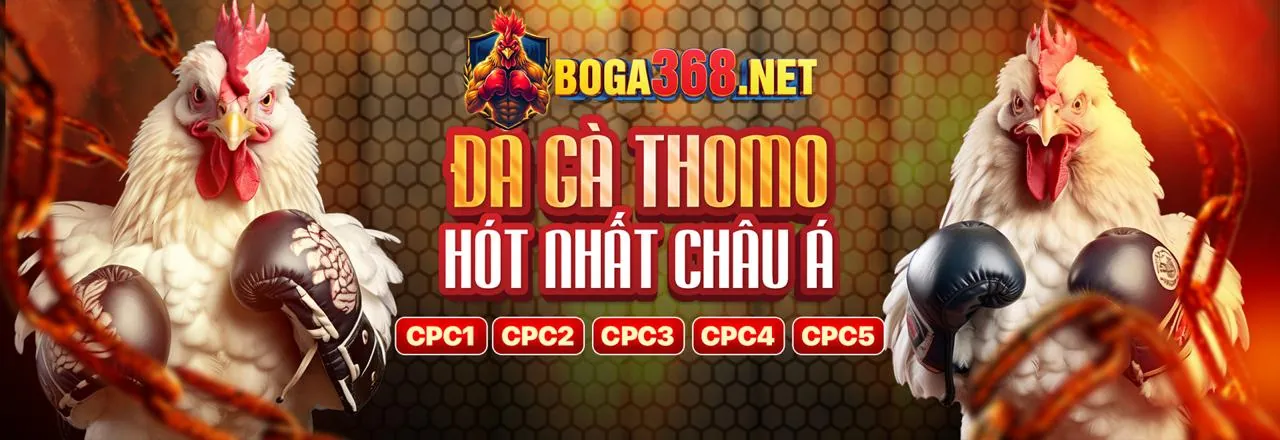 Giải pháp cho các vấn đề thường gặp tại Winbet